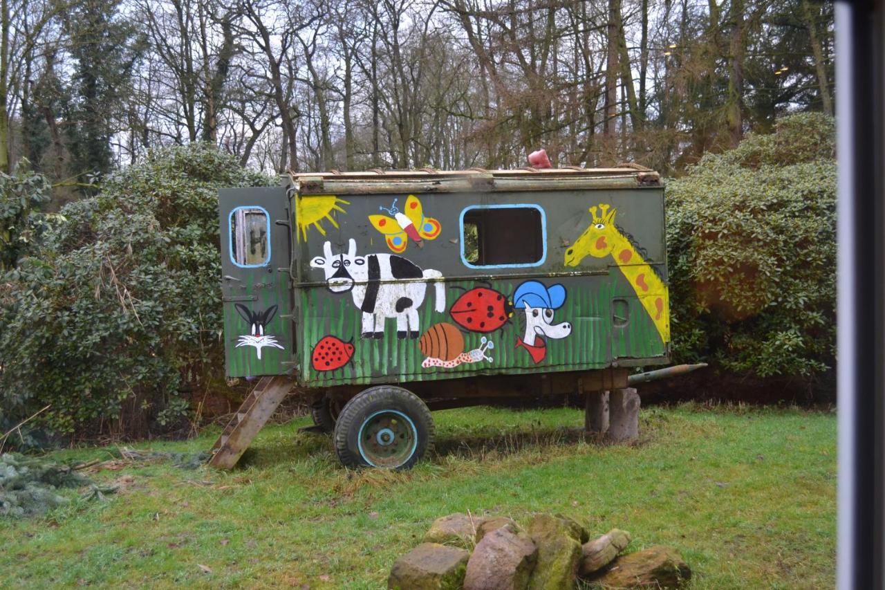 Ferienwohnung Suederfeld Brake (Wesermarsch) Exterior photo